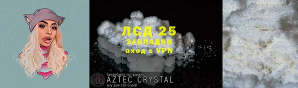 крисы Наволоки