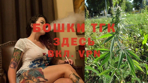 эйфоретик Надым