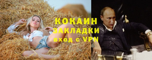 крисы Наволоки