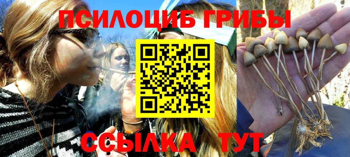 Галлюциногенные грибы Psilocybine cubensis Чебоксары